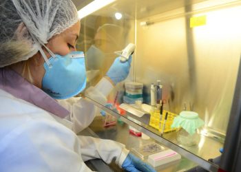 Pesquisa diz que 60% dos jovens defendem mais investimentos em ciência