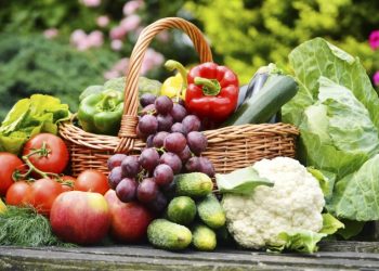 Dieta sem carboidrato pode causar danos à saúde