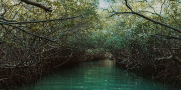 Réveillon Segredos une experiências exclusivas e festas premium para desbravar Icaraí de Amontada (CE)