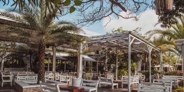 After Noel vai agitar Colosso Fortaleza neste Natal; confira