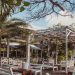 After Noel vai agitar Colosso Fortaleza neste Natal; confira