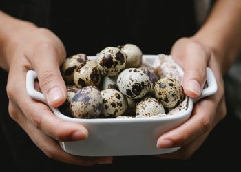 Ovo de codorna: saiba os benefícios nutricionais deste super alimento