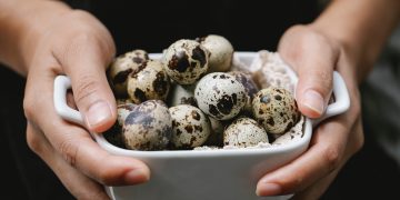 Ovo de codorna: saiba os benefícios nutricionais deste super alimento