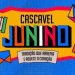 Confira as atrações confirmadas no São João de Cascavel