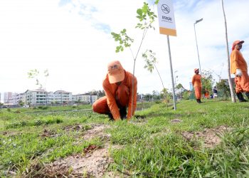 Veja a programação da Prefeitura de Fortaleza no Mês do Meio Ambiente