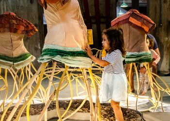 Caixa Fortaleza apresenta a exposição “Cidadela”