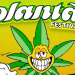 Segunda edição do Plantão Festival é anunciado para abril de 2024